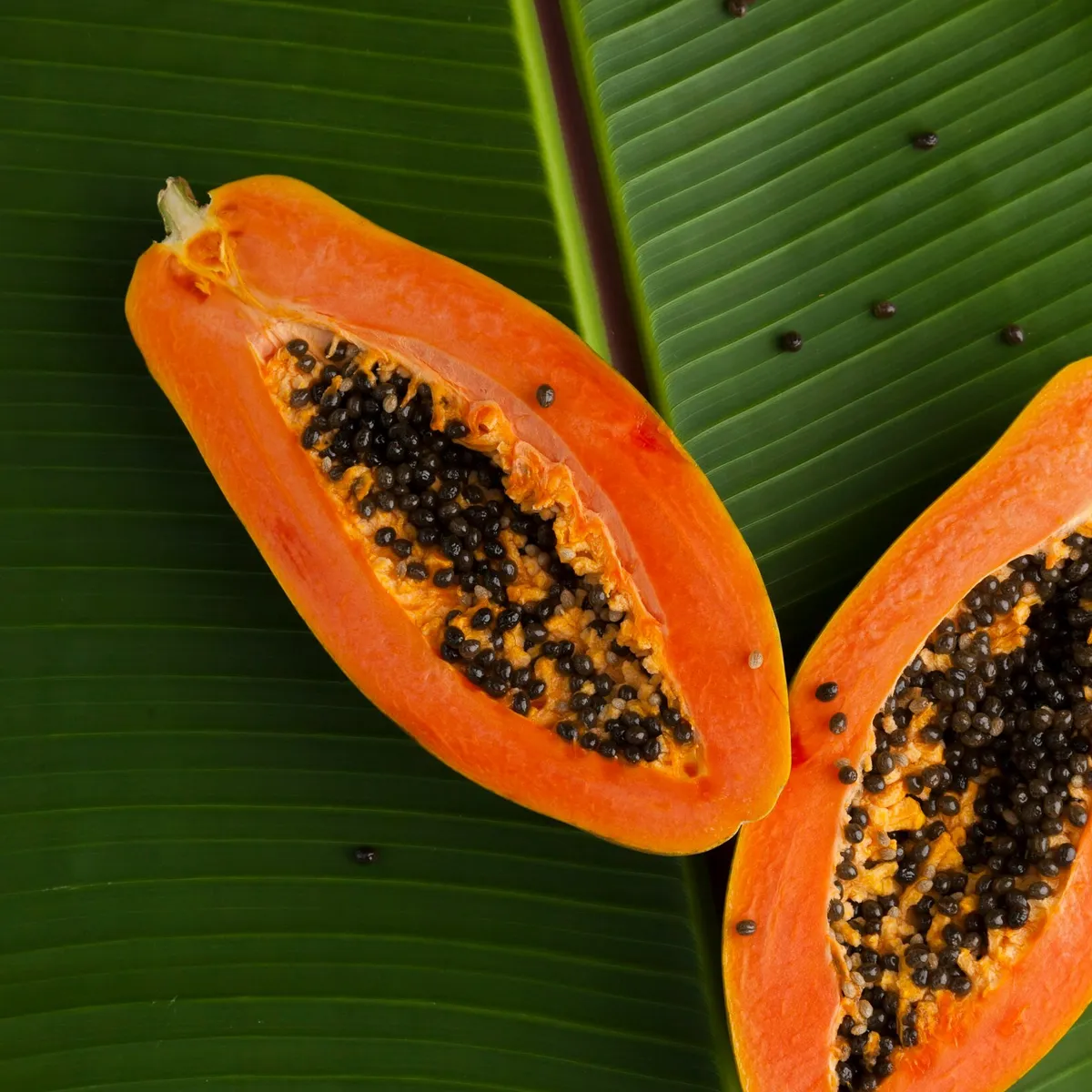 Bon vivant Ooj1c6fhd FM unsplash